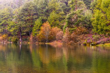 Guadarrama Park'ta bir bataklık huzurlu manzara