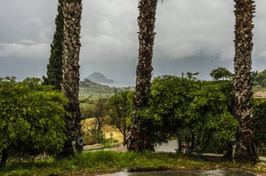 zakynthos palmiye ağaçlarında altında bulutlu gün
