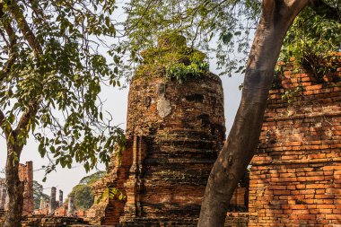Ayutthaya kalıntıları antik Siam Tayland Krallığı