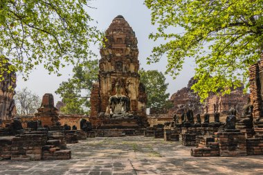Buda Ayutthaya Tayland yıkılmış bir tapınak şehirde