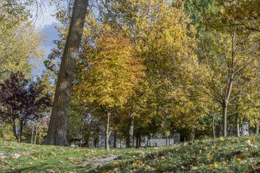 Bir sonbahar günü tarladan manzarayı seyret. Cuellar. Castilla ve Leon. İspanya