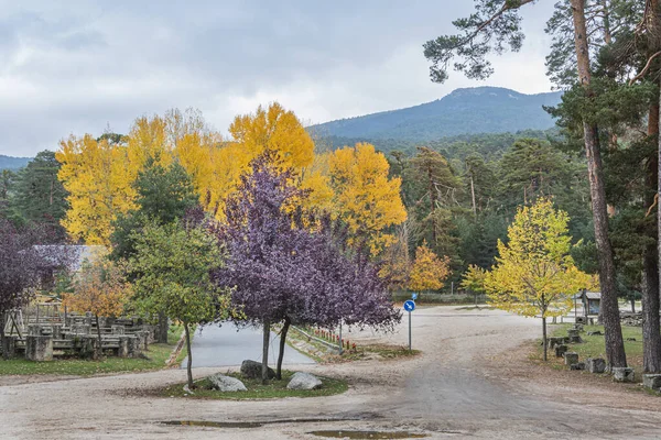 Entrada al parque Boca del Asno un día de otoño. segovia España — Foto de Stock