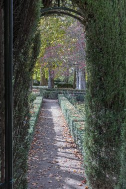 Aranjuez 'deki süs bahçeleri. Madrid İspanya..