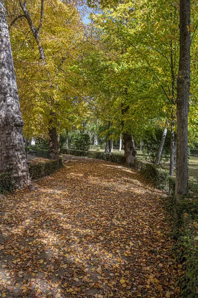 Autumnal path in the park of Aranjuez. Aranjuez. community of castile and leon. Spain