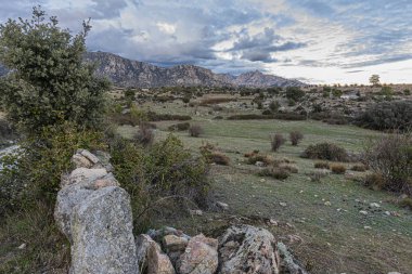 Tipik Sierra de Guadarrama manzarası. Çayırları ve granit kayaları var. Avrupa İspanya Topluluğu Madrid.