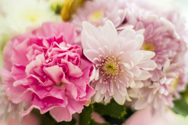 Güzel ve narin çiçekler