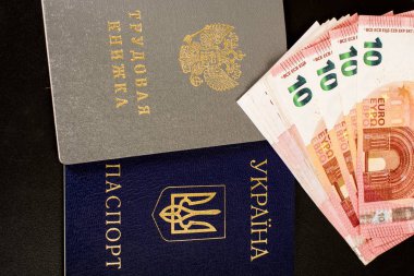 Ukraynalı pasaport ve euro faturaları çerçevede Rus çalışma kitabı