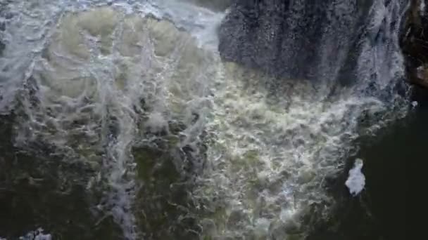 Les eaux usées coulent dans la rivière — Video
