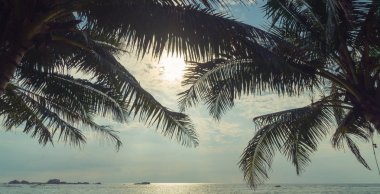 Palmiye ağaçları ve gün batımında okyanusta Sri Lanka.