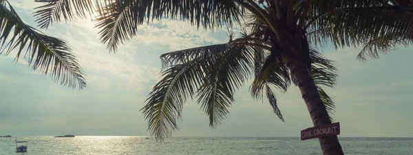 Palmeiras e oceano ao pôr do sol no Sri Lanka . — Fotografia de Stock