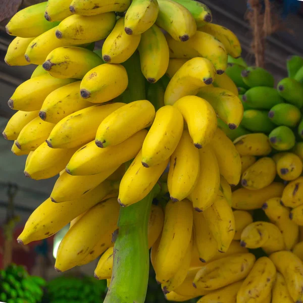 Bundles of yellow, ripe bananas. — Stock Photo, Image