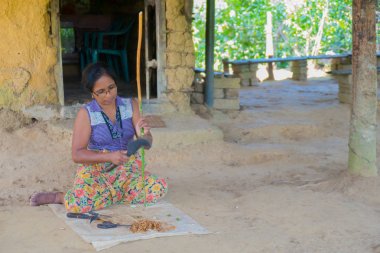  Sri Lanka. Üretim tarçın.