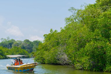 Manduganga Nehri, Sri Lanka. 4 Mart 2018. Motorlu bir tekne turist.