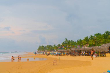Palmiyeler, kum ve mavi okyanus Sri Lanka sarı.