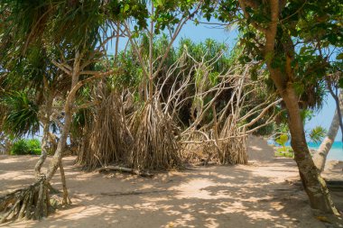 tekneler sahilde kum.