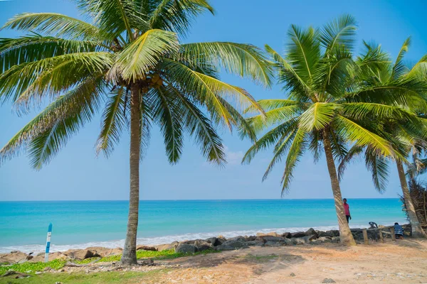 März 2018 Sri Lanka Palmen Auf Dem Ozean — Stockfoto