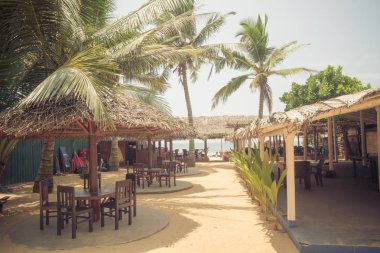 Palmiye ağaçları altında sahilde Cafe.