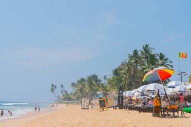 Hint Okyanusu kıyısındaki palmiye ağaçları Hikkaduwa, Sri Lanka sahillerinde.