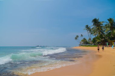 Hint Okyanusu kıyısındaki palmiye ağaçları Hikkaduwa, Sri Lanka sahillerinde.