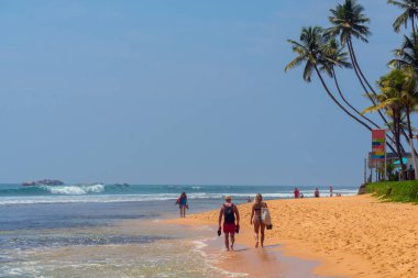 Hint Okyanusu kıyısındaki palmiye ağaçları Hikkaduwa, Sri Lanka sahillerinde.