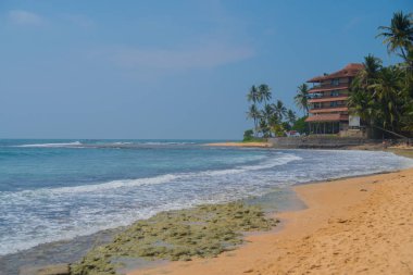 Hint Okyanusu kıyısındaki palmiye ağaçları Hikkaduwa, Sri Lanka sahillerinde.