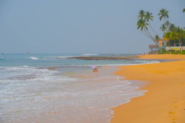 Okyanus dalgaları karşı mavi gökyüzü ve palmiye ağaçları.