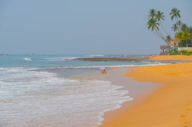 Okyanus dalgaları karşı mavi gökyüzü ve palmiye ağaçları.
