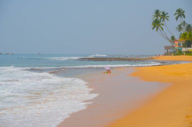 Okyanus dalgaları karşı mavi gökyüzü ve palmiye ağaçları.