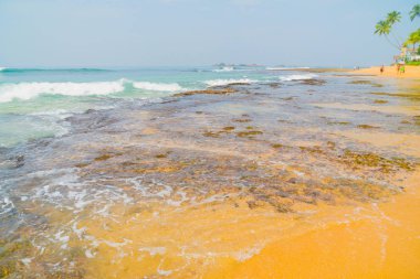 Okyanus dalgaları karşı mavi gökyüzü ve palmiye ağaçları.
