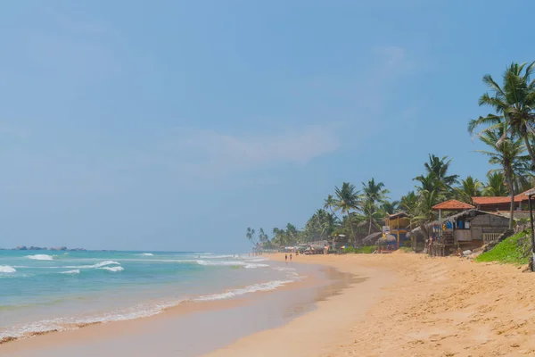 Palmy Brzegu Oceanu Indyjskiego Plaży Hikkaduwa Sri Lanka — Zdjęcie stockowe