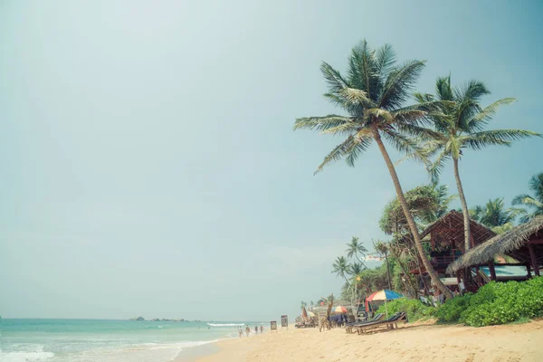 Palmeiras Costa Oceano Índico Praia Hikkaduwa Sri Lanka — Fotografia de Stock