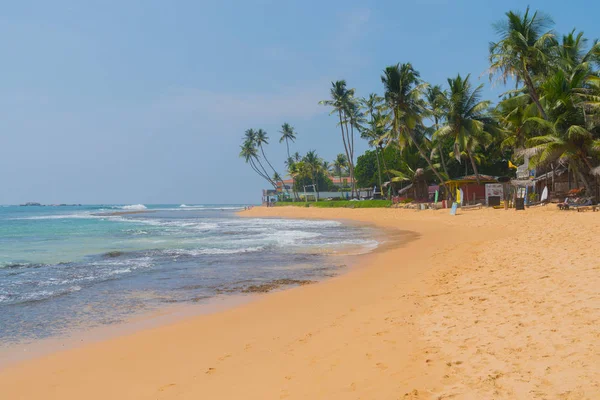 Пальмові Дерева Березі Індійського Океану Березі Хіккадуві Шрі Ланка — стокове фото