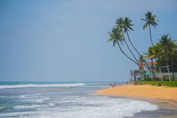 Palmy Břehu Indického Oceánu Pláži Hikkaduwě Srí Lanka — Stock fotografie