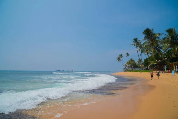 Palmy Břehu Indického Oceánu Pláži Hikkaduwě Srí Lanka — Stock fotografie
