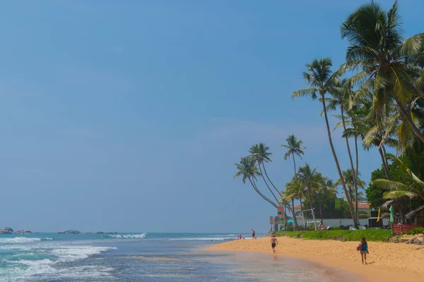 Palmy Břehu Indického Oceánu Pláži Hikkaduwě Srí Lanka — Stock fotografie