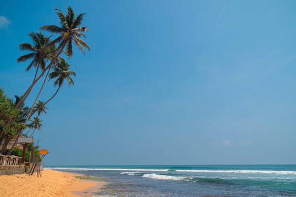 Palm trees on the shore of the Indian Ocean on the beach in Hikkaduwa, Sri Lanka.