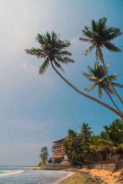 Palmen Ufer Des Indischen Ozeans Strand Von Hikkaduwa Sri Lanka — Stockfoto