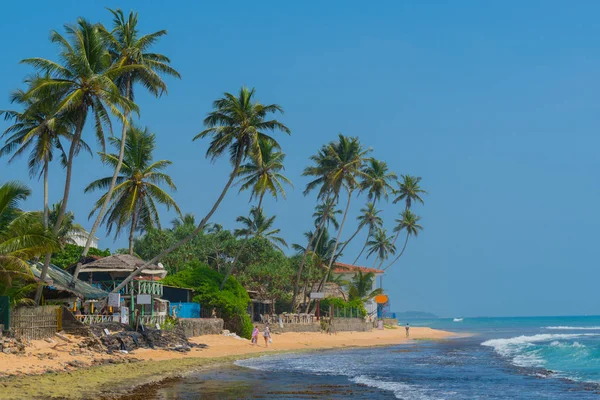 Palmy Brzegu Oceanu Indyjskiego Plaży Hikkaduwa Sri Lanka — Zdjęcie stockowe