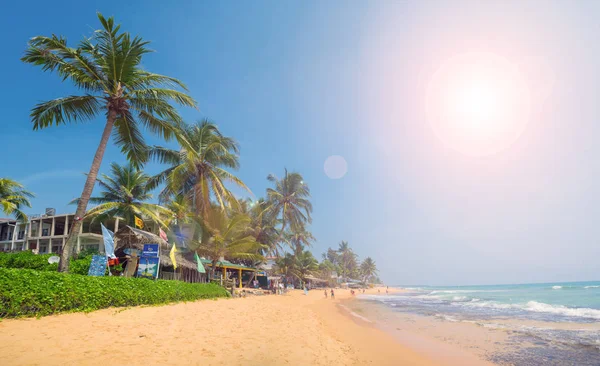 Palmy Brzegu Oceanu Indyjskiego Plaży Hikkaduwa Sri Lanka — Zdjęcie stockowe