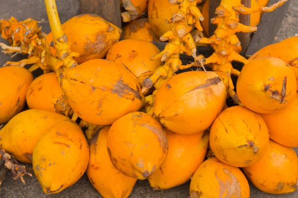 Bunch Bright Yellow Royal Coconuts — Stock Photo, Image