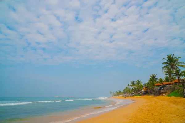 Ocean waves against the blue sky and palm trees.