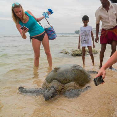 Hikkaduwa. Sri Lanka, 11 Mart 2018. 