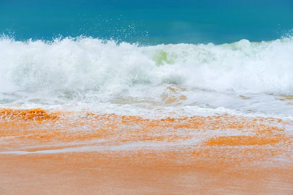 砂浜の海岸で実行しています — ストック写真