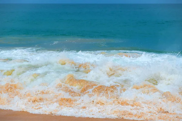 砂浜の海岸で実行しています — ストック写真