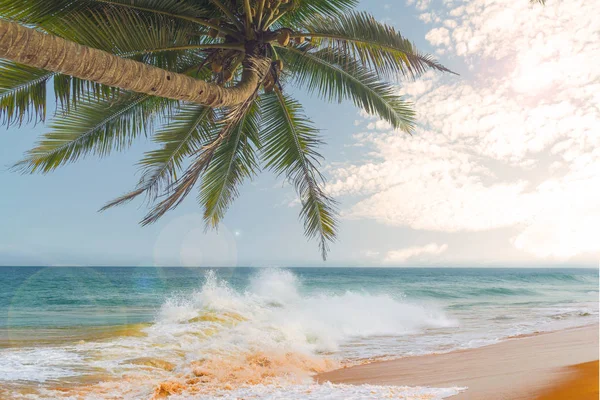 Ondas oceânicas contra o céu azul e palmeiras . — Fotografia de Stock