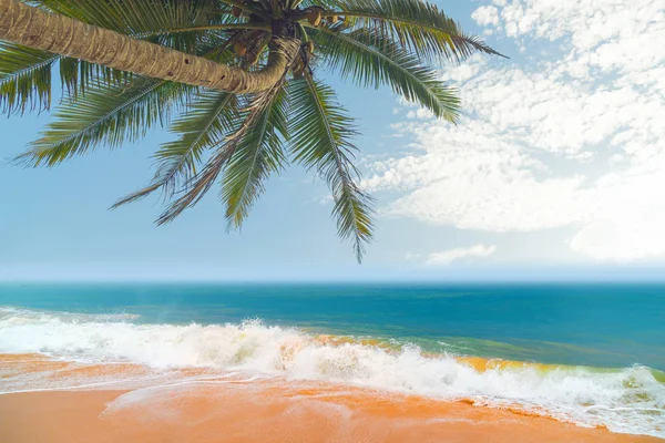 Ondas oceânicas contra o céu azul e palmeiras . — Fotografia de Stock