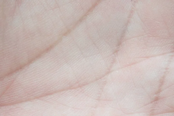 Garis telapak tangan manusia — Stok Foto