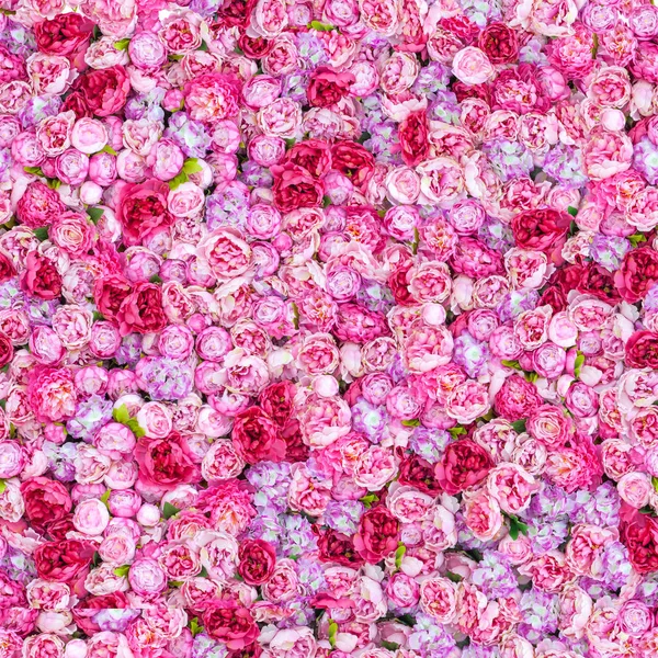 Seamless modeli. Kırmızı peonies yoğun arka plan.