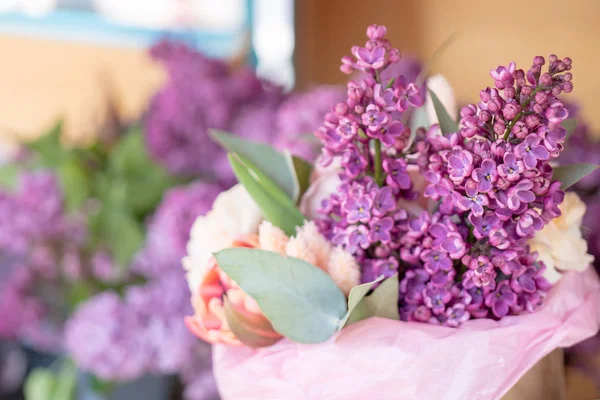Helle Schöne Große Blüten Aus Lila Flieder — Stockfoto