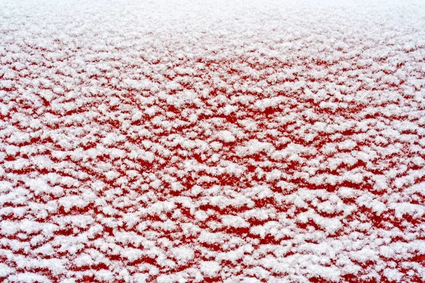Сніг Покритий Червоною Поверхнею Фон — стокове фото